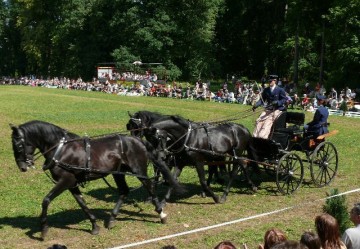 Hřebčín Slatiňany